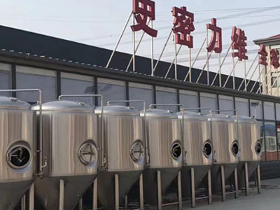 西固精酿啤酒设备厂—市场规模与跨界新需求